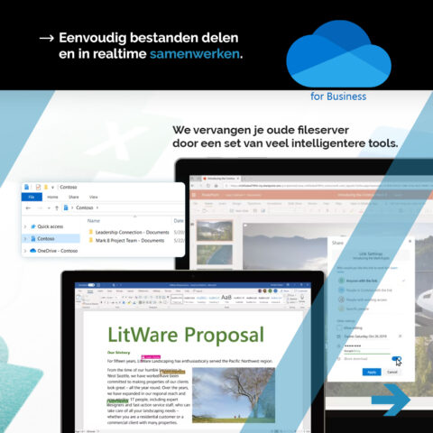 microsoft-365-LI-slideshow-NL-screen3